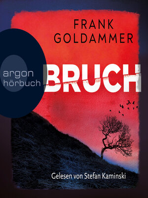cover image of Bruch--Ein dunkler Ort--Felix Bruch, Band 1 (Ungekürzte Lesung)